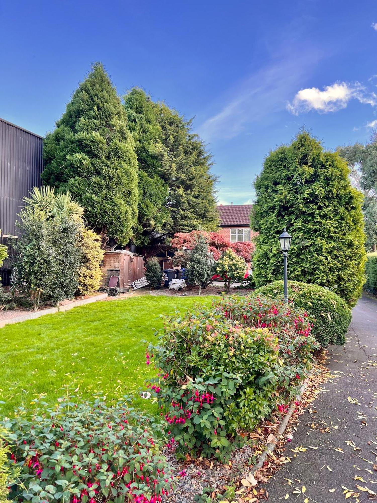 Ashfield Bed & Breakfast Белфаст Экстерьер фото
